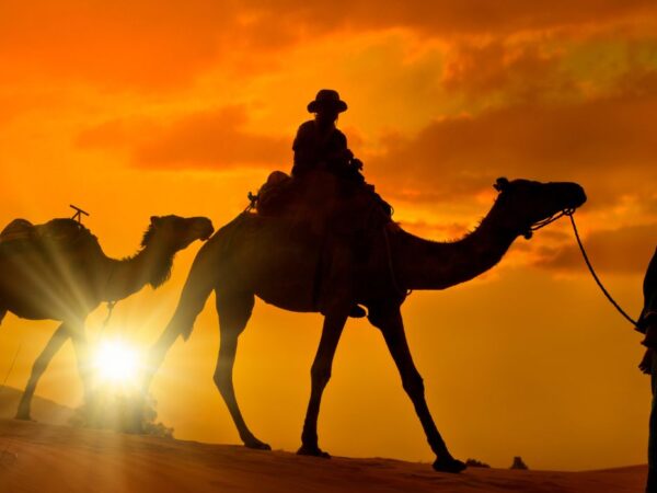 Shared 3 Days Desert Tour from Marrakech to Merzouga
