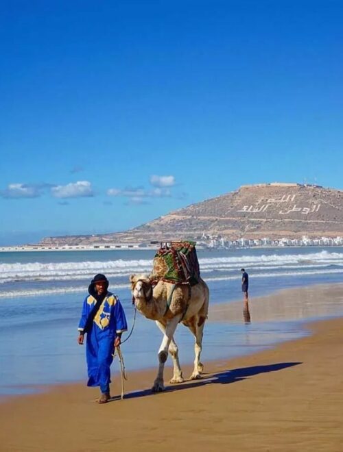 Private Day Trip from Marrakech to Agadir