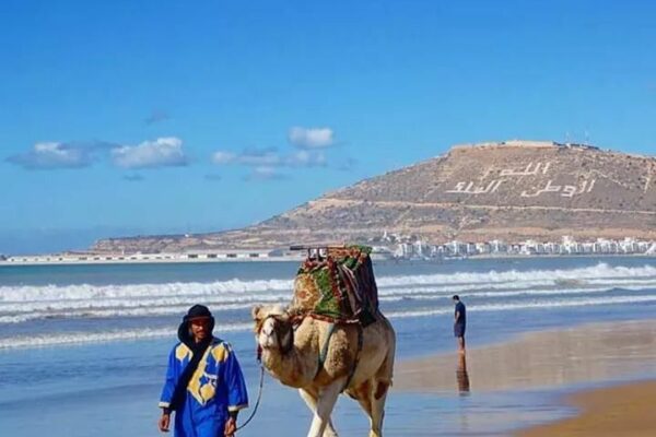 Private Day Trip from Marrakech to Agadir