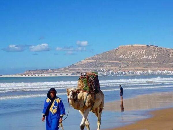 Private Day Trip from Marrakech to Agadir