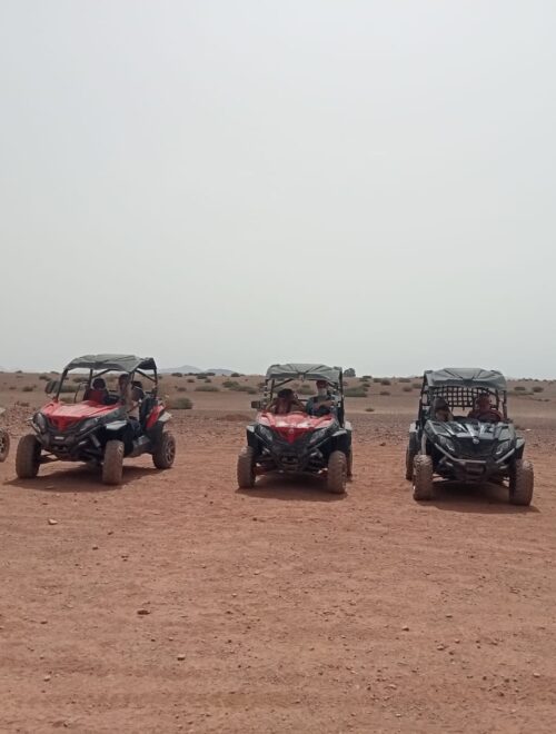 Buggy Ride in the Palmeraie of Marrakech