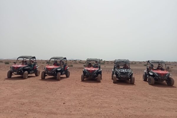 Buggy Ride in the Palmeraie of Marrakech
